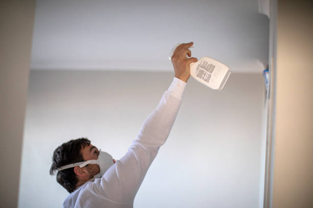 Best Mold Cleaning Services  in Randolph Af, TX