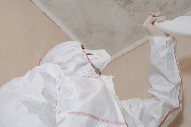 Home Mold Removal in Randolph Af, TX